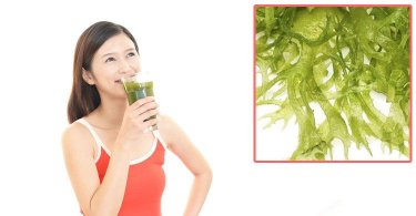 膠原蛋白靠這個！海底燕窩補血又排毒