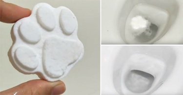 小蘇打熊掌炸彈DIY，輕鬆清潔馬桶、排水孔！