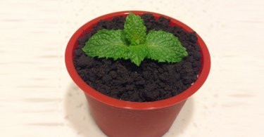 食譜,盆栽奶酪,免烤箱,點心,下午茶,甜點
