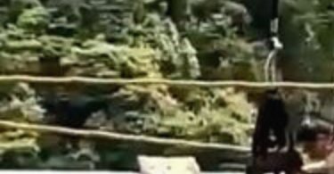 遊樂園,打卡景點,天空步道,琉璃吊橋,遊樂設施,遊樂設施意外,暑假遊樂園