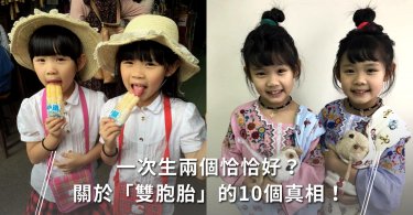 懷孕,雙胞胎