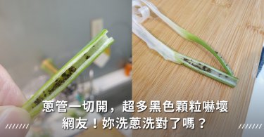 蔥,青蔥,洗蔥,蔥管,蟲卵,蔥蟲,農藥殘留,洗菜
