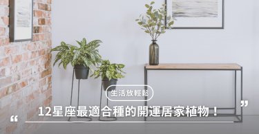 居家生活,星座,心理
