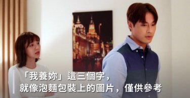 「我養妳」這三個字，就像泡麵包裝上的圖片，僅供參考