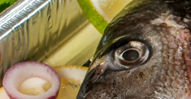 魚膽,魚頭,重金屬污染,膠原蛋白,魚眼,魚鱗,魚鰾